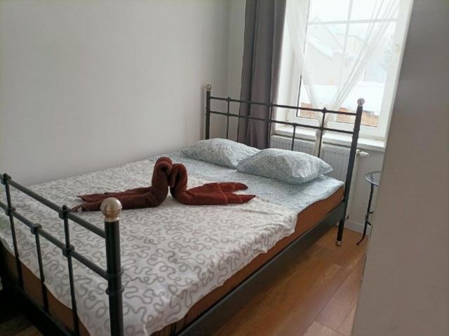 Apartamento Fly Adventures- Dom Wedkarza Leśna Exterior foto
